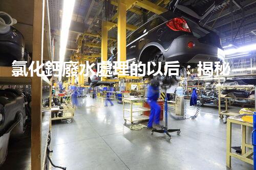 氯化鈣廢水處理的以后：揭秘高效無(wú)害化技術(shù)？